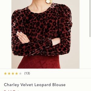 Beautiful leopard Blouse from Anthropologie